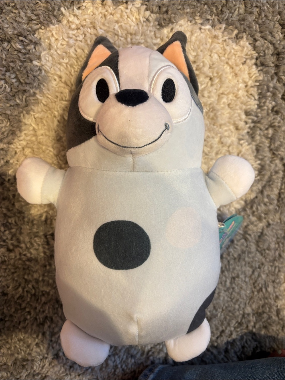 NWT Bluey Squishmallow